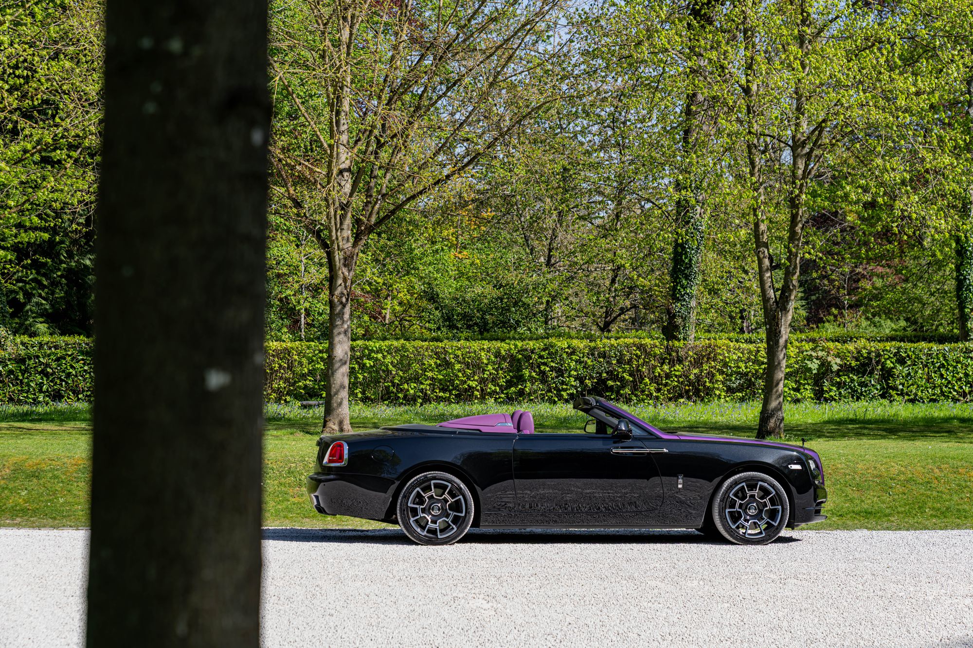 2022 Rolls Royce Dawn Black Badge for sale