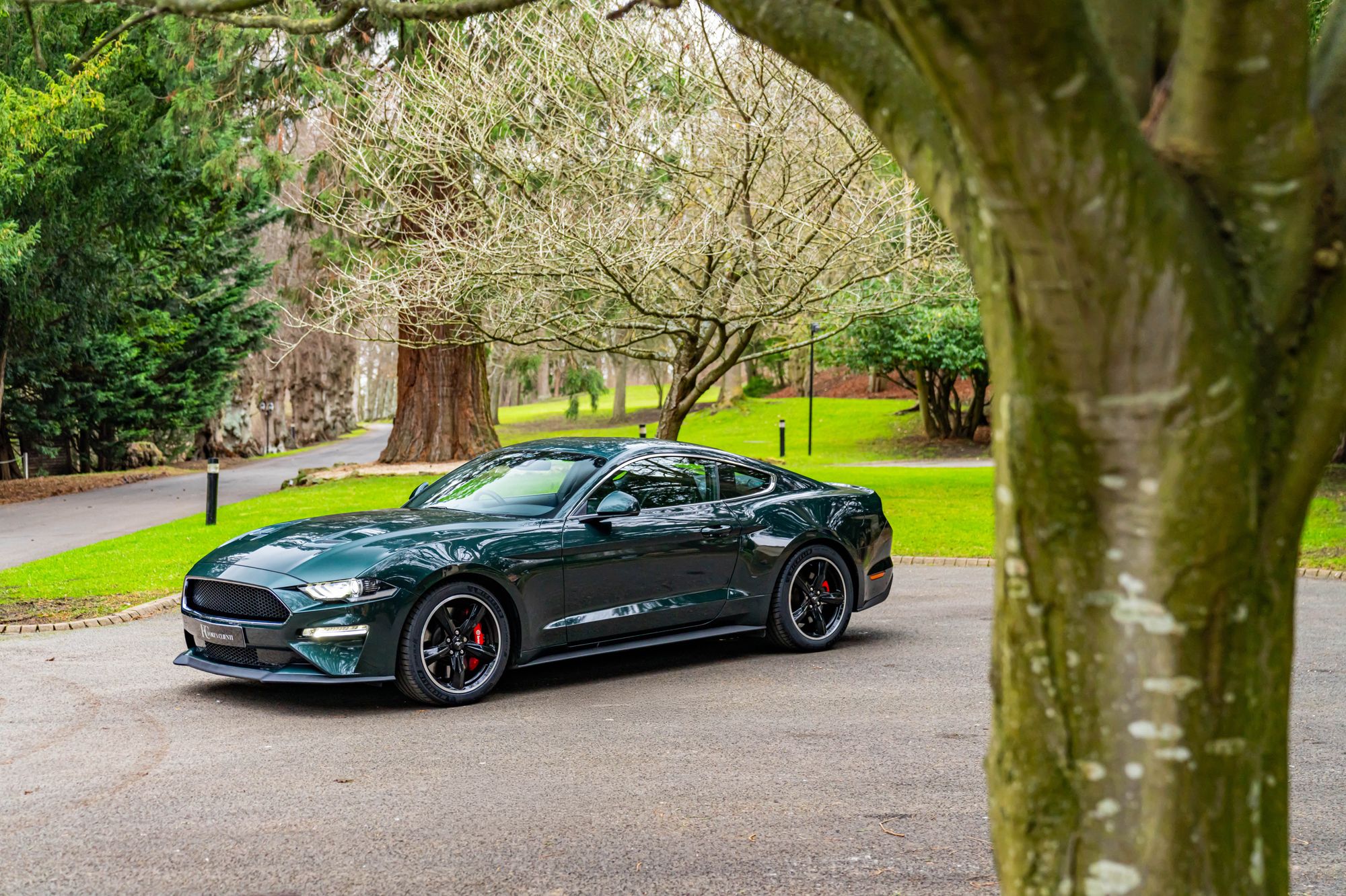 2019 Ford Mustang Bullitt for sale