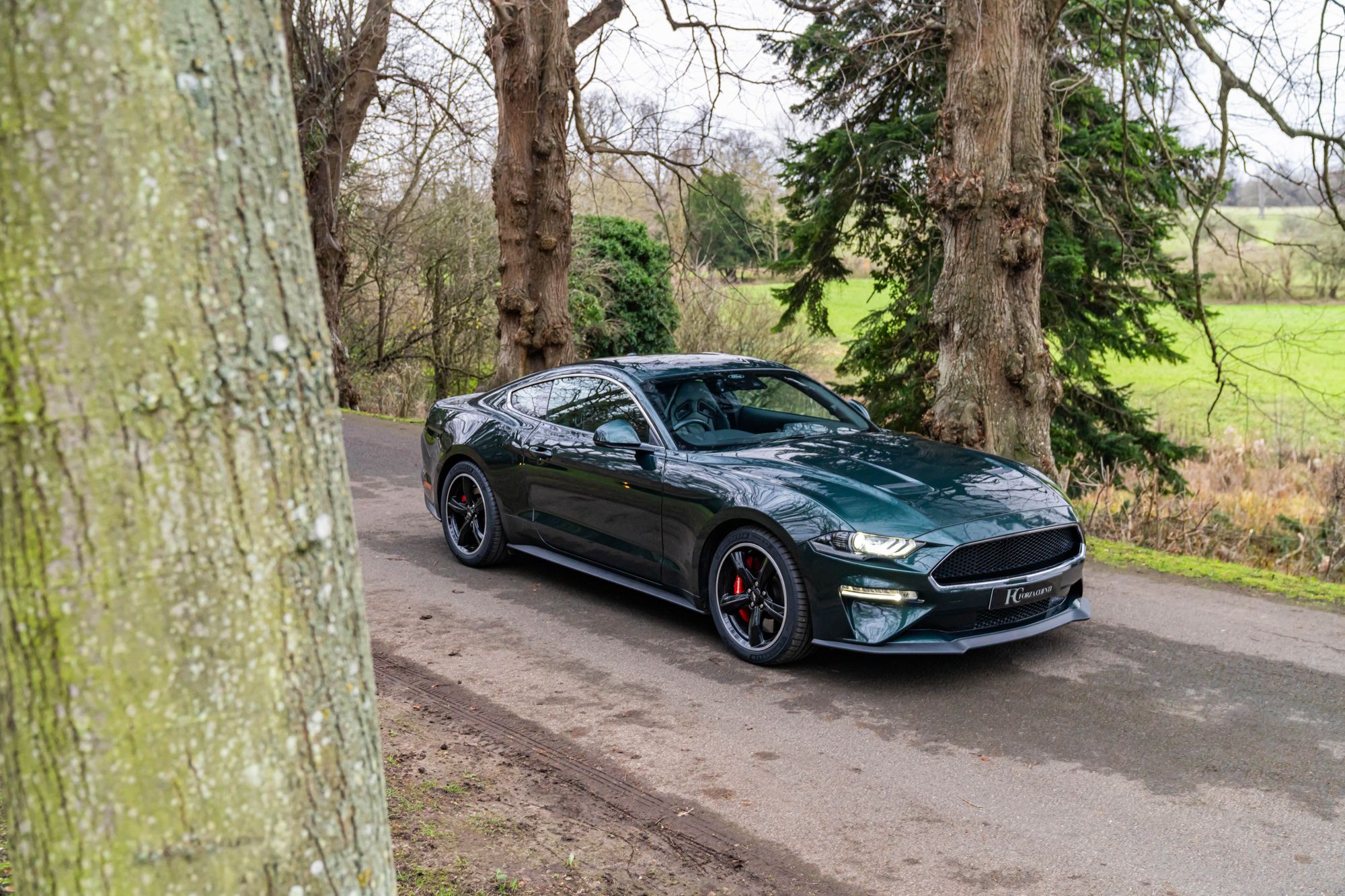 2019 Ford Mustang Bullitt for sale