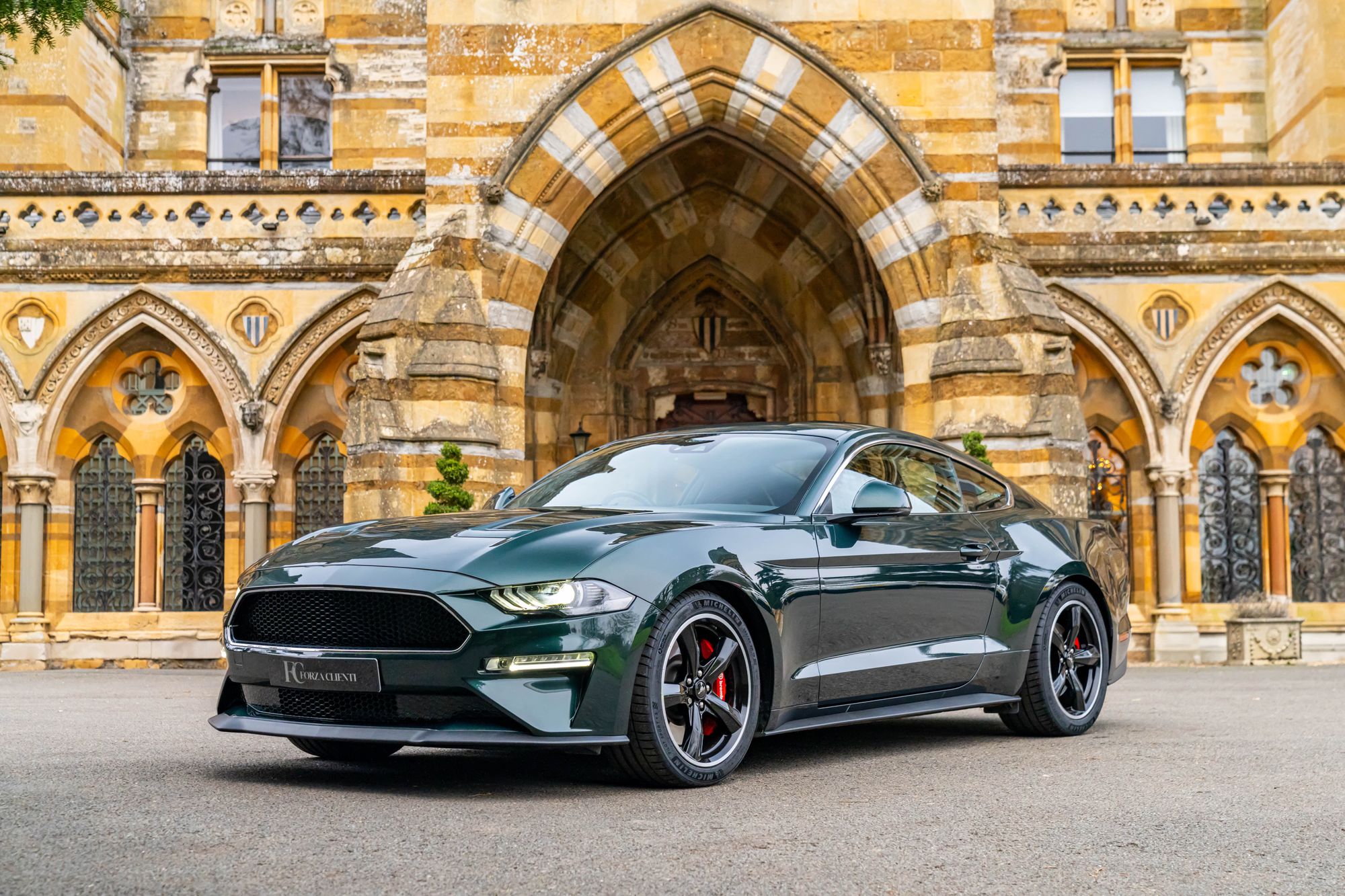 2019 Ford Mustang Bullitt for sale