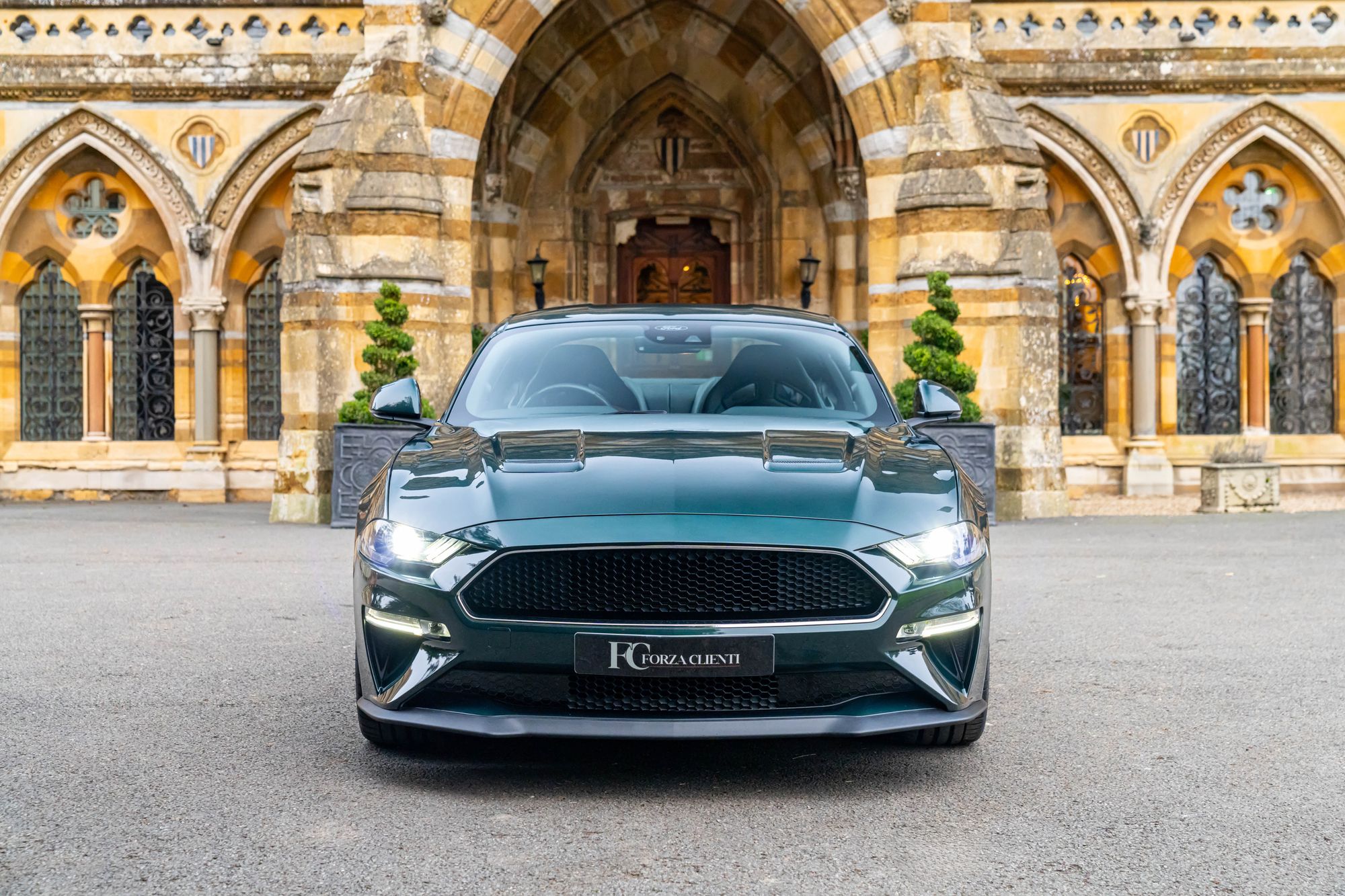 2019 Ford Mustang Bullitt for sale