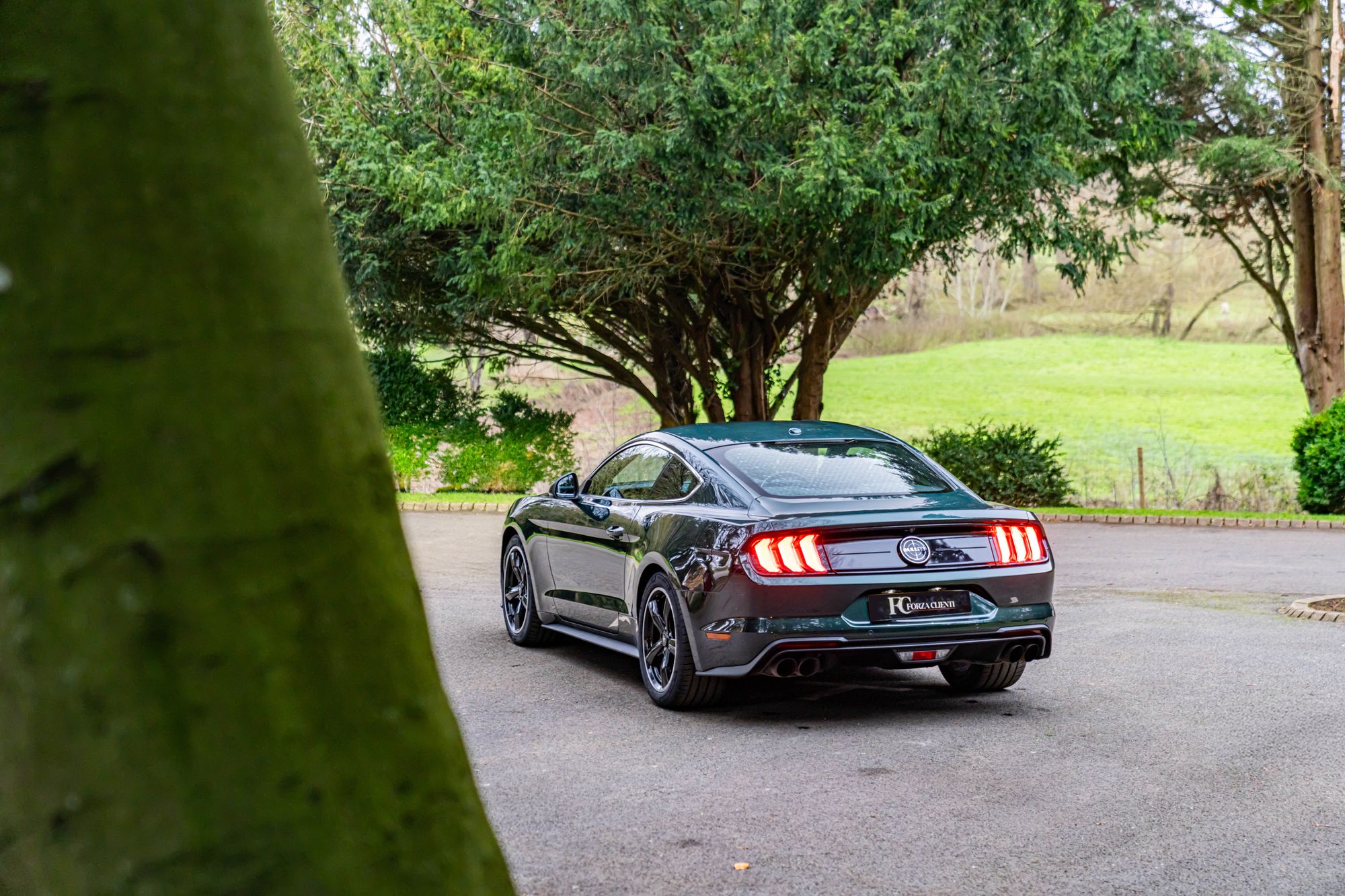 2019 Ford Mustang Bullitt for sale