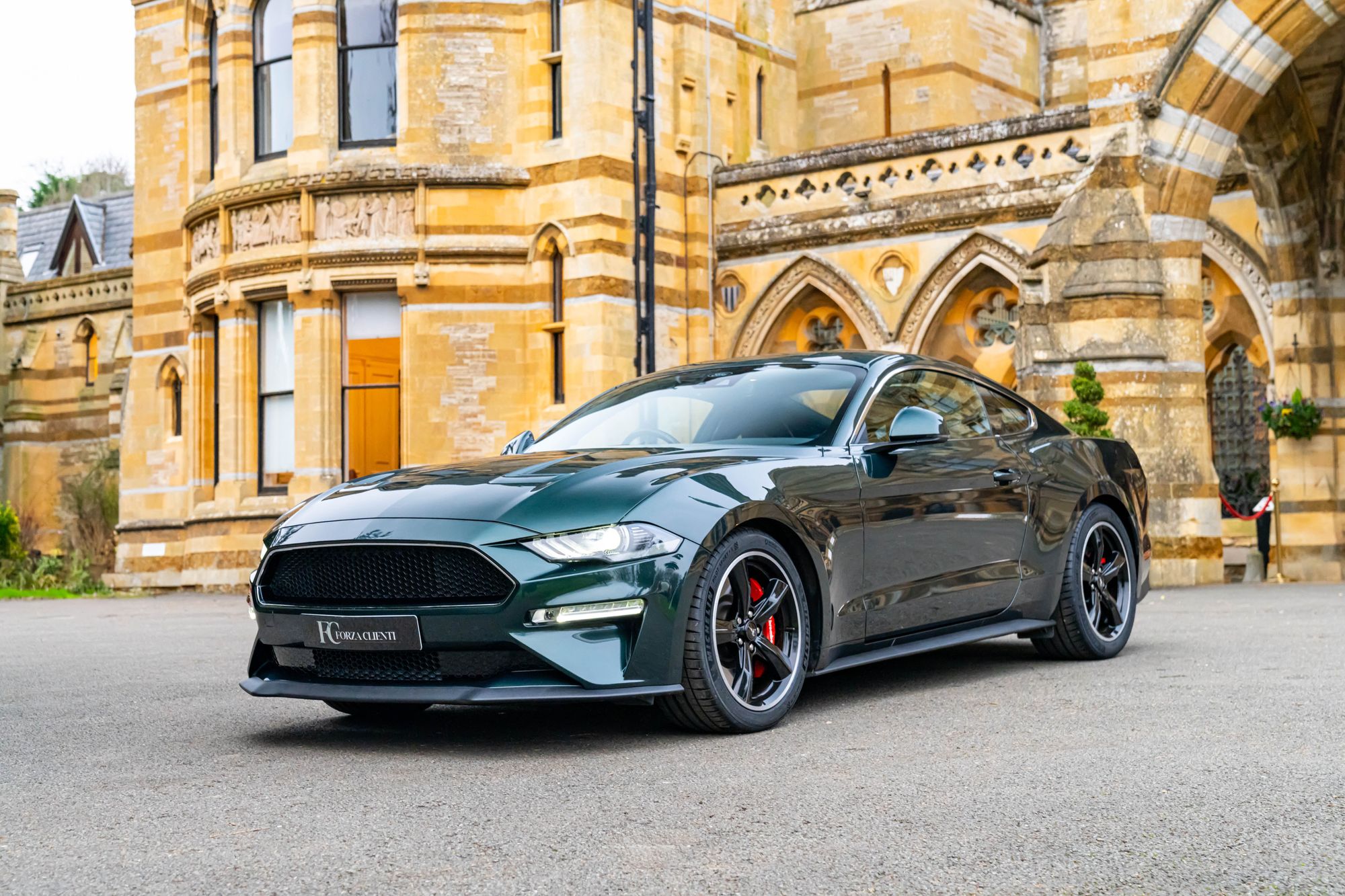 2019 Ford Mustang Bullitt for sale