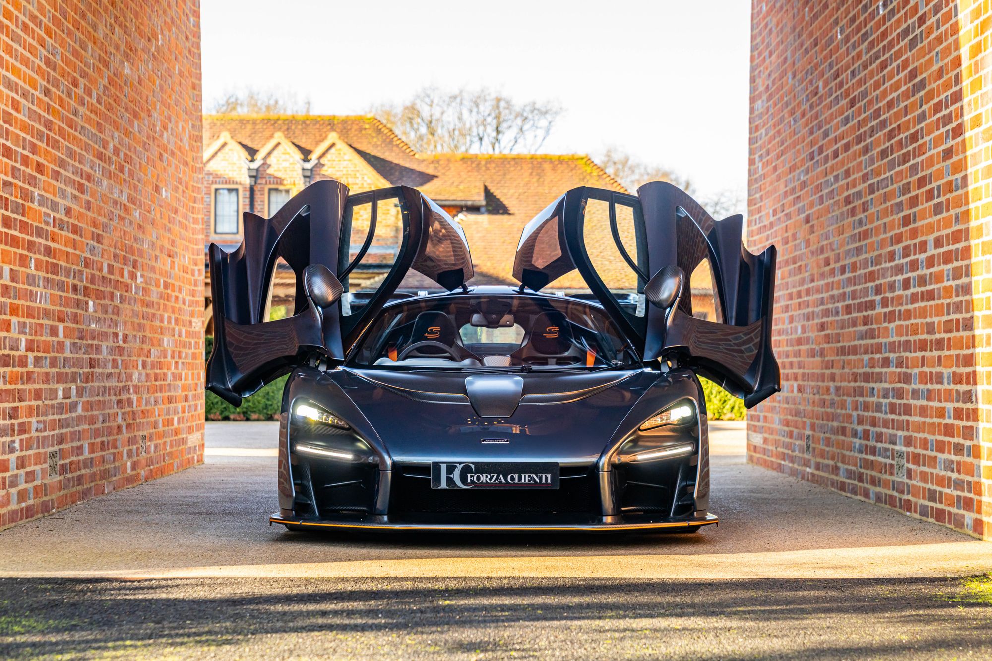 2019 McLaren Senna for sale