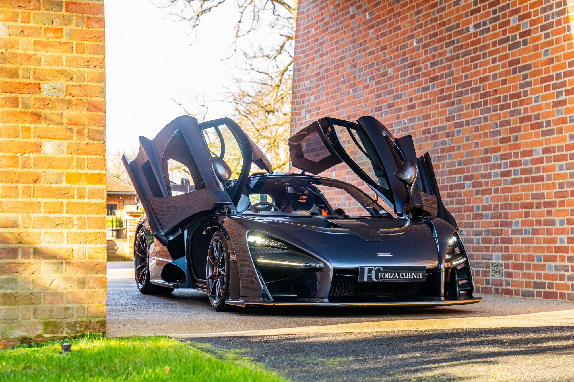 2019 McLaren Senna for sale