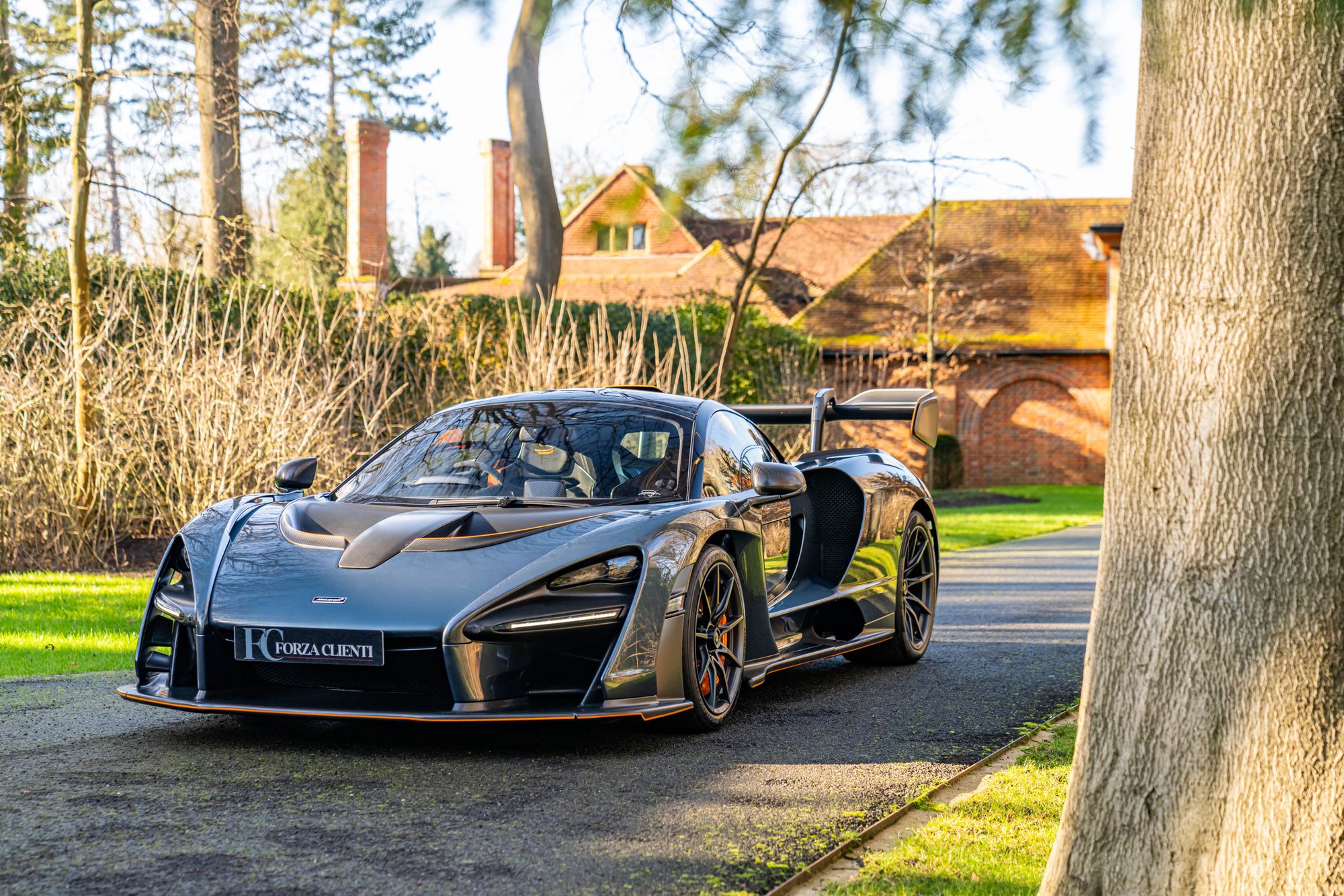 2019 McLaren Senna for sale